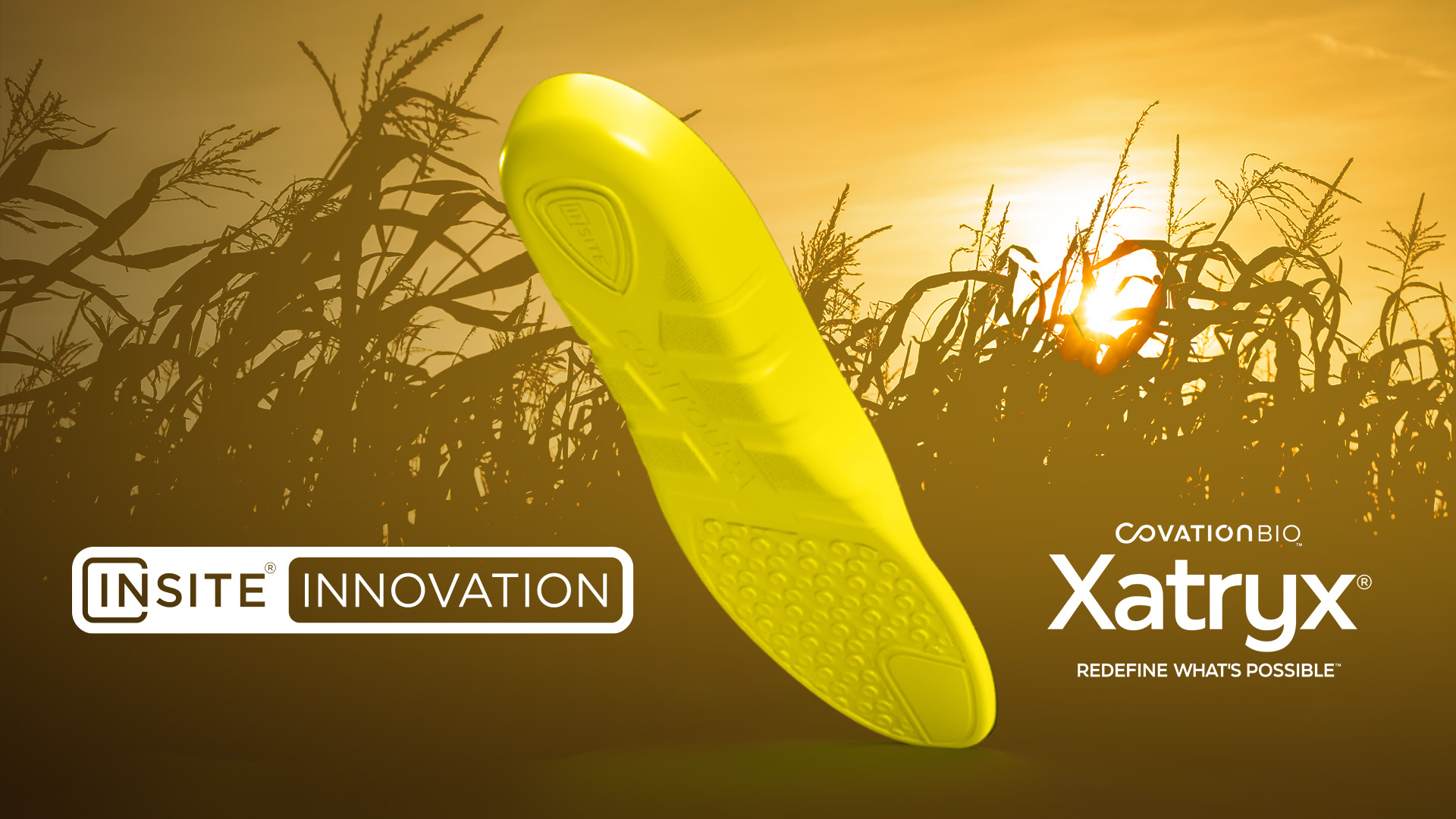 20260709 INSITE Xatryx Collab Promo Image 2
